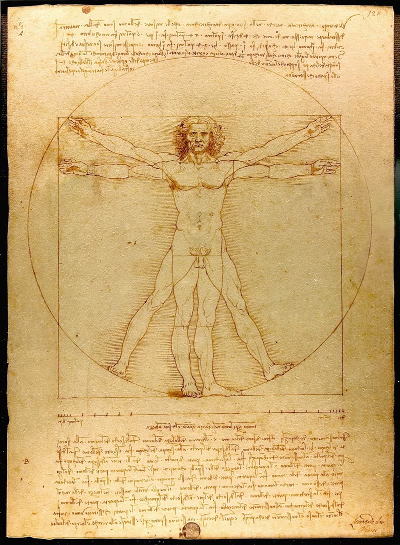 Leonardo da Vinci's Vitruvian Man, a study of ideal human proportions inscribed within circle and square, pen and ink drawing c. 1490
